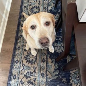 Meet your Posher, Ryan